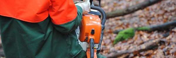 Motorsägenlehrgang 2026